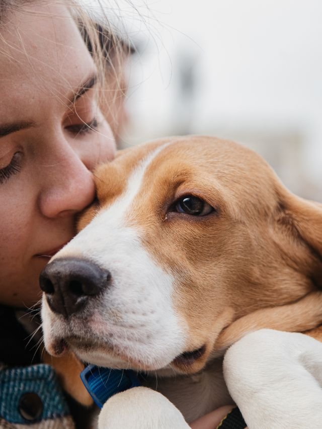 Top 8 Best Pet Insurance Companies of 2024: Protect Your Pets Today