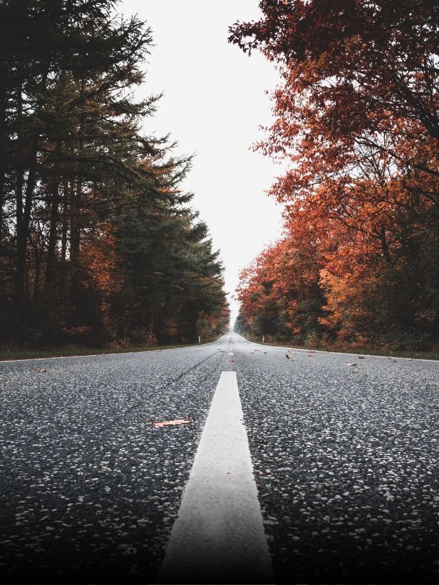 10 Unforgettable American Road Trips for the Ultimate Adventure